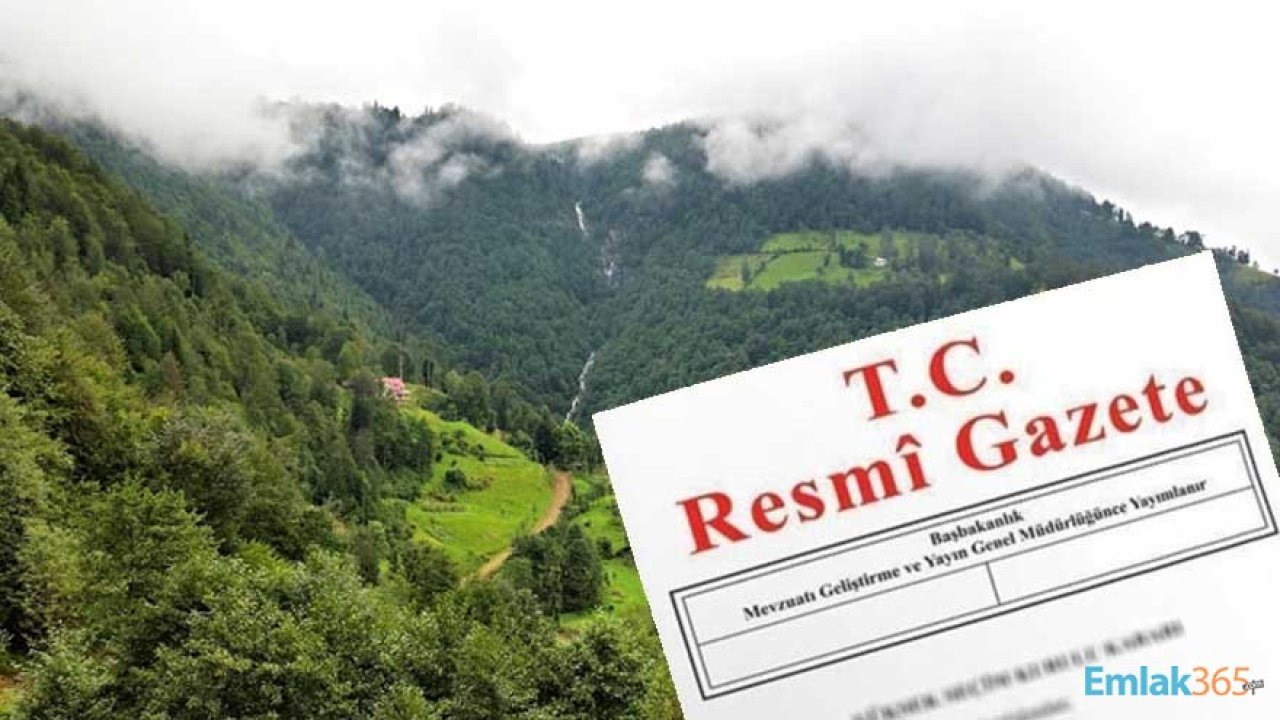 Resmi Gazete'de Yayımlandı: Amasya, Bolu ve Trabzon'da Bazı Alanlar Yayla Alanı Olmaktan Çıkarıldı