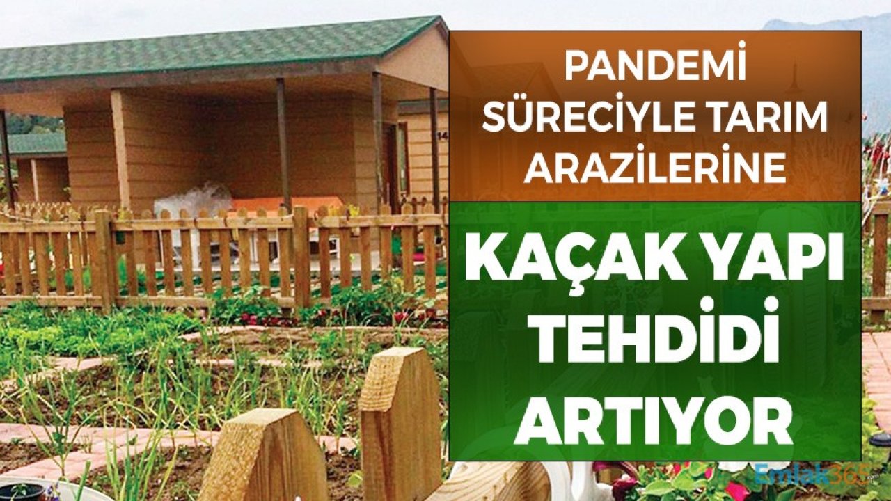 Pandemi Süreciyle Tarım Arazilerine Kaçak Yapı Tehdidi Artıyor