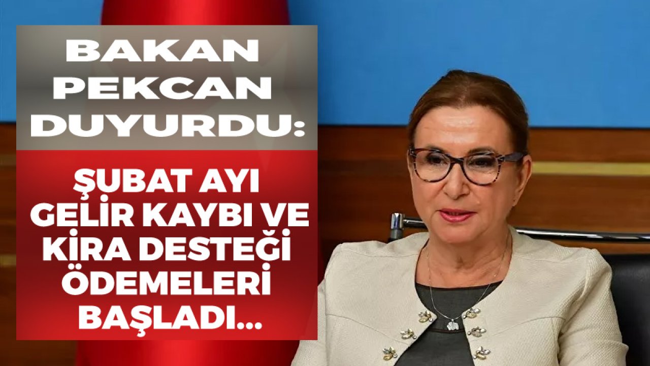 Son Dakika: Şubat Ayı Kira Desteği ve Gelir Kaybı Ödemeleri Başladı!