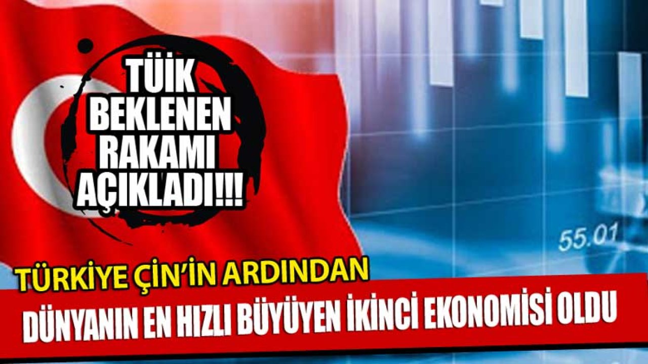 TÜİK 2020 Büyüme Rakamları Raporunu Yayımladı, Türk Ekonomisi Çin'den Sonra İkinci Oldu