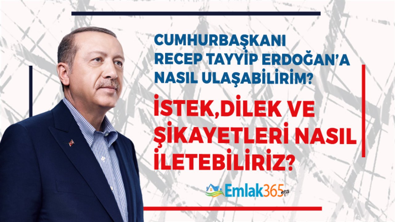 Cumhurbaşkanı Recep Tayyip Erdoğan’a Nasıl Ulaşabilirim? Cep Telefonu Var Mı? İstek, Dilek ve Şikayet Bildirme