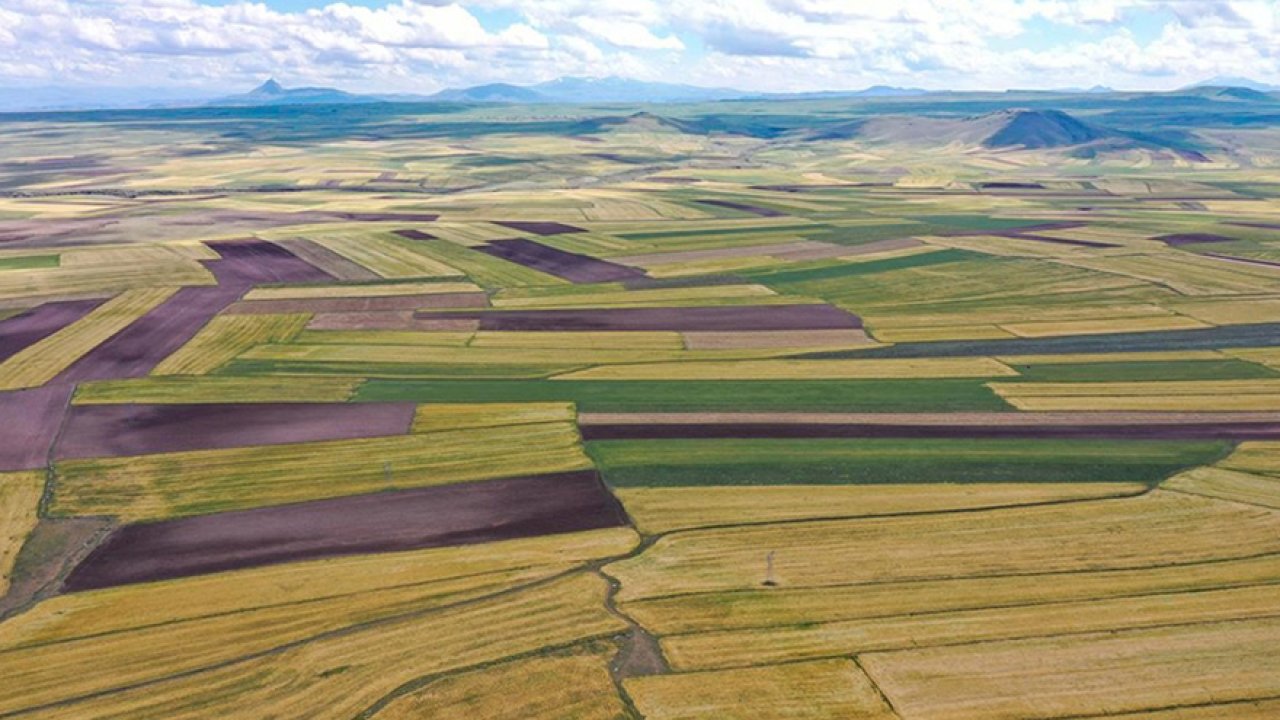 Yatırımcılar için Bahar Dönemi Arsa Fiyatları ve Arsa Kredisi Faizleri