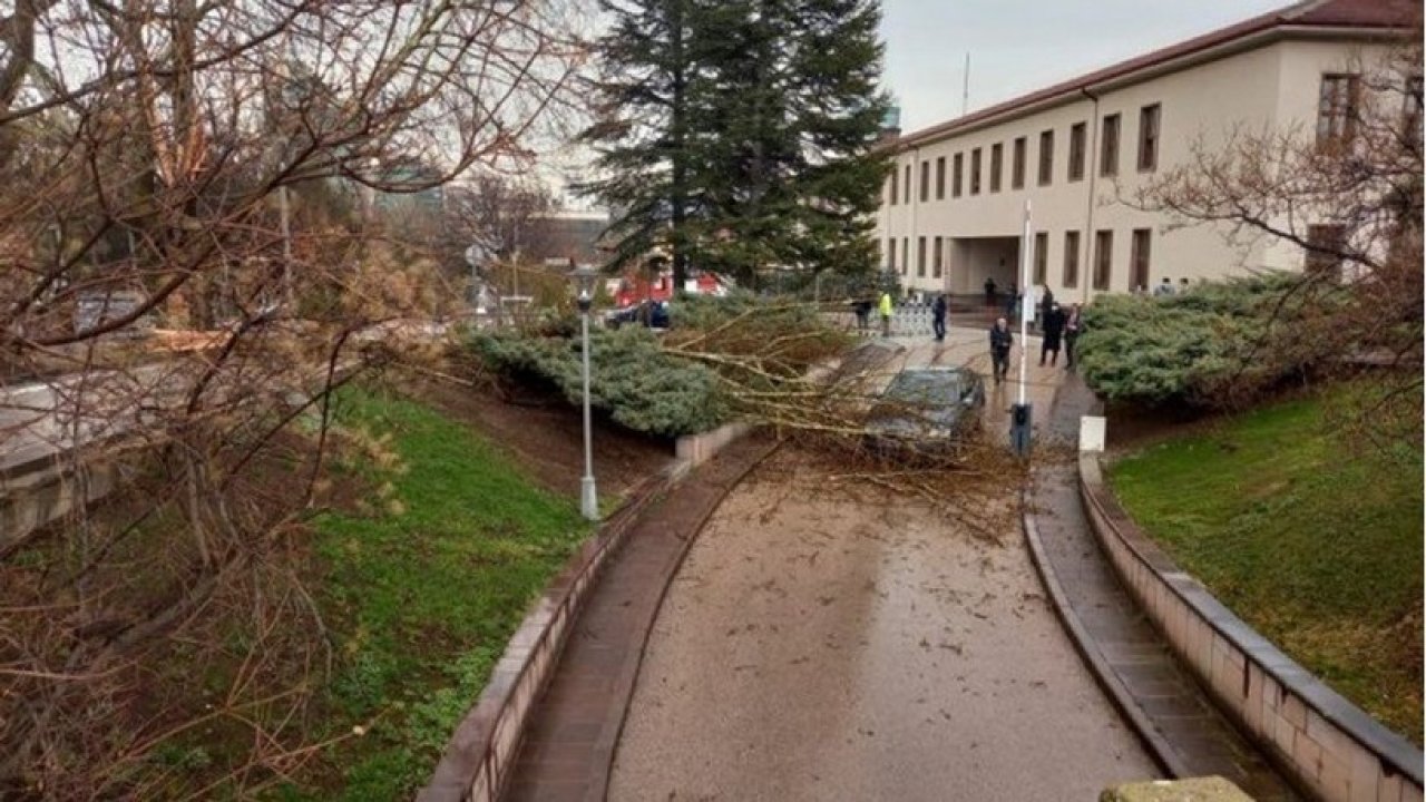 TBMM Bahçesine Yıldırım Düştü, Otomobilin Üzerine Ağaç Devrildi!