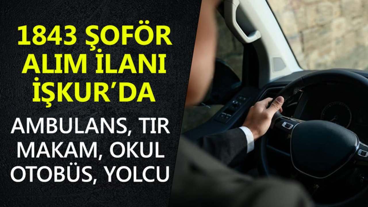 1843 Şoför Alım İlanı İŞKUR’da Yayımlandı! Makam, Ambulans, Okul, Yolcu, Otobüs