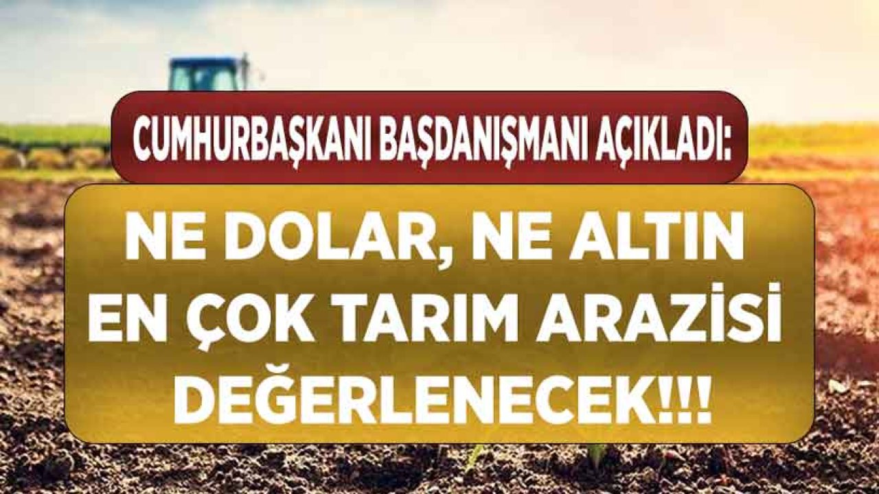 Cumhurbaşkanı Başdanışmanı Açıkladı: Ne Dolar, Ne Altın, En Çok Tarım Arazisi Değerlenecek!