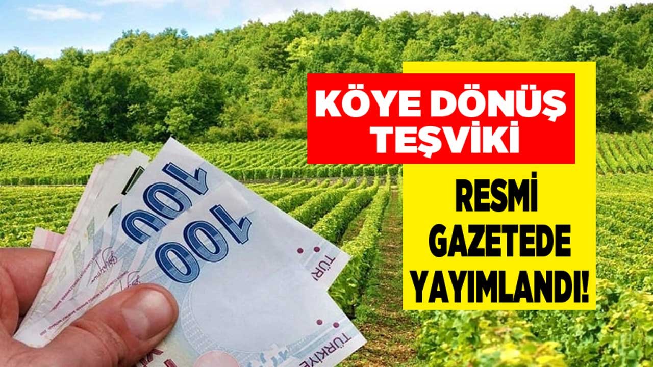 Şehirden Köye Dönene Teşvik Müjdesi Resmi Gazete'de! Bina İnşaat ve İmar Harcı ve Emlak Vergisi Muafiyeti