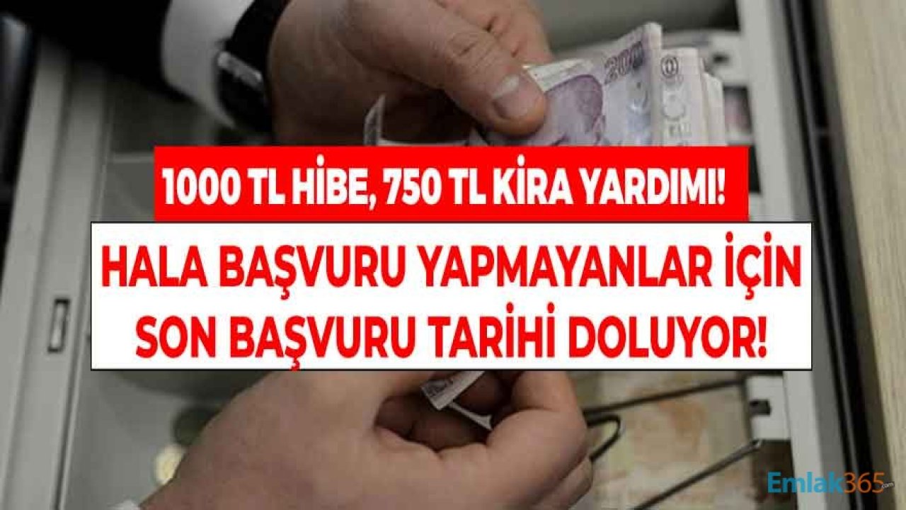 Kira ve Hibe Desteği İçin Kritik Uyarı! Esnafa 1000 TL Gelir Kaybı ve Kira Yardımı İçin Son Başvuru Tarihi Doluyor