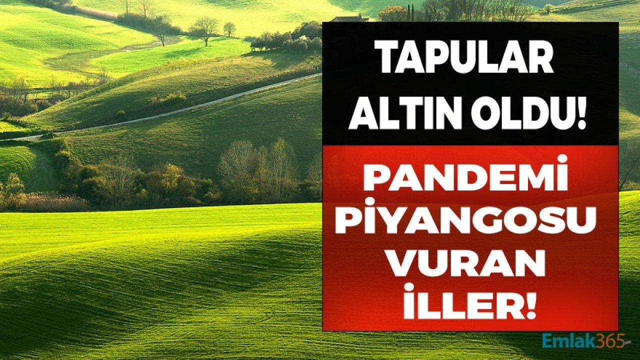 Bu Şehirlerde Arsa ve Arazi Yatırımı Yapanlara Pandemi Piyangosu Vurdu, Tapular Altın Oldu!