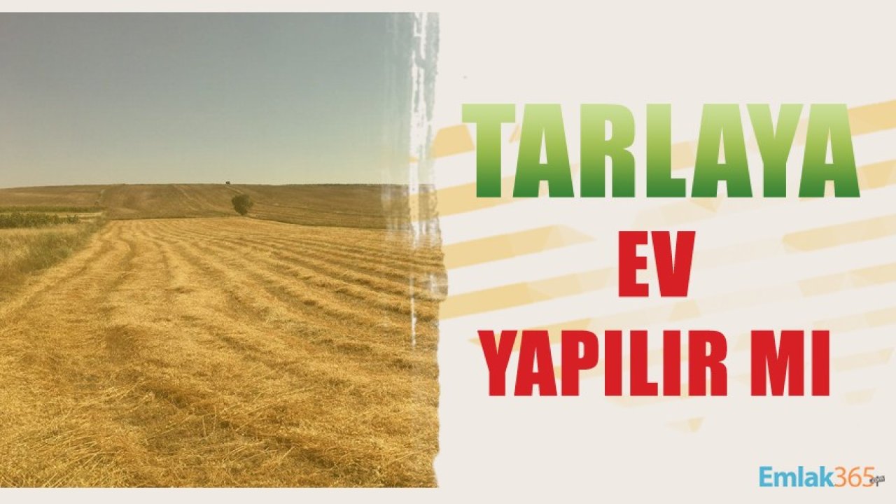 Tarlaya Ev Yapılır Mı? Tarlaya Ev İnşa Etmek İçin İzin Nereden ve Nasıl Alınır?