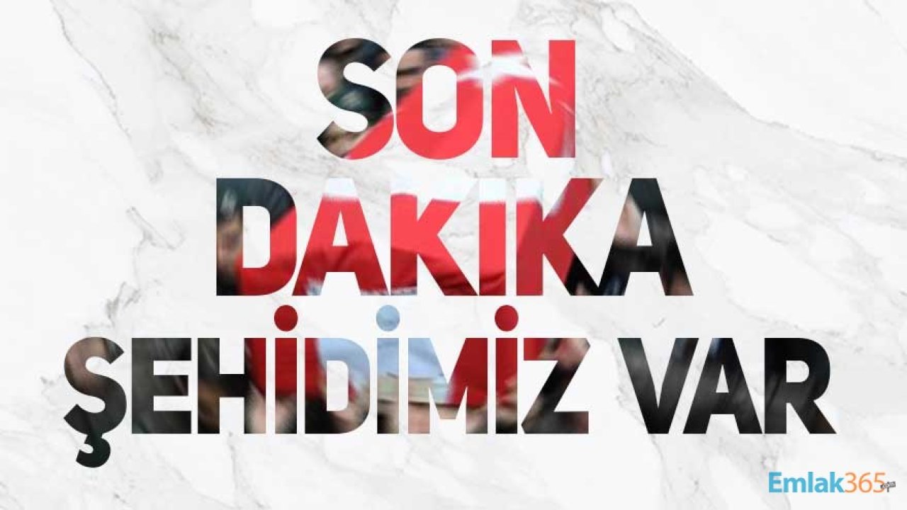 Son Dakika! Ağrı Doğubayazıt'tan Acı Haber Geldi, Ankara'ya Şehit Ateşi Düştü