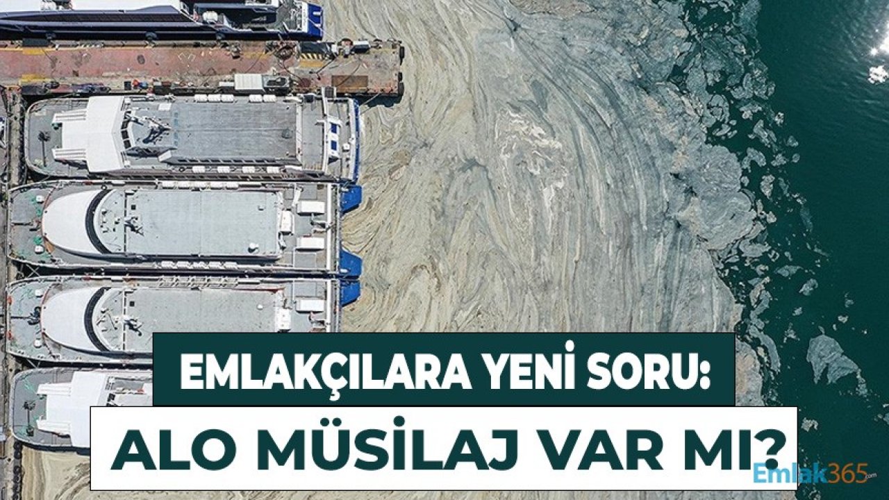 Emlakçılarda Müsilaj Sorunu İle Mücadeleye Başladı!