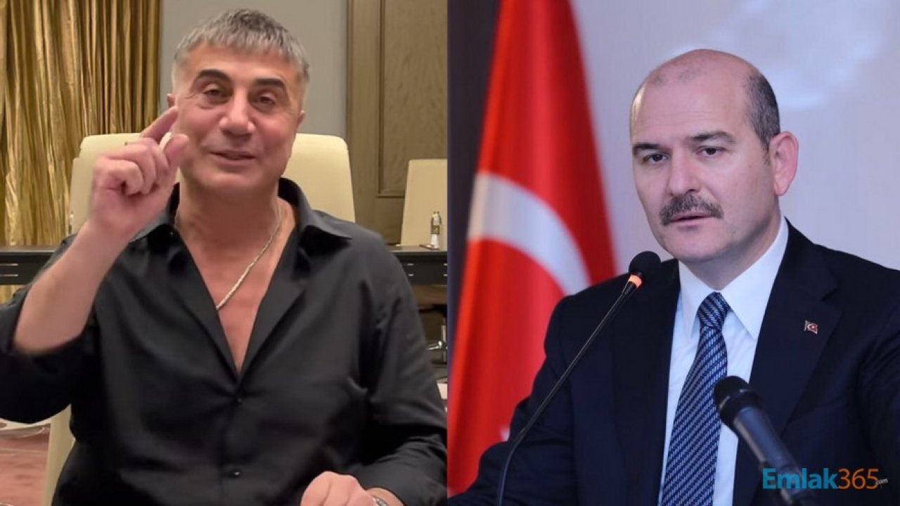 Bakan Soylu Harekete Geçti! Sedat Peker'den 10 Bin Dolar Alan Siyasetçi Hakkında Yeni Gelişme!