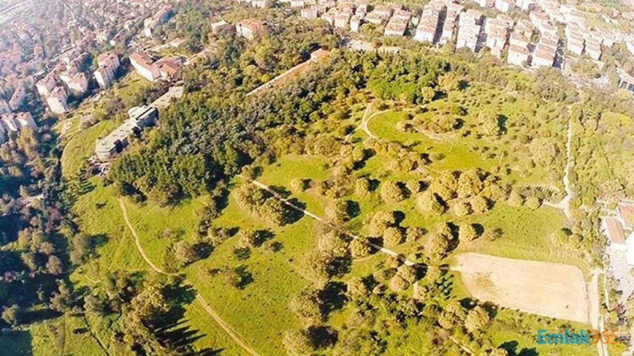 İstanbul Üsküdar Validebağ Korusu İmar Planları Hakkında Mahkemeden Ara Karar Çıktı