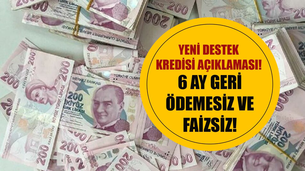 6 Ay Geri Ödemesiz Ve Faizsiz Yeni Destek Kredisi Açıklaması!