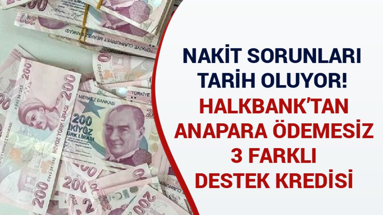 Halkbank'tan Verilen 6 Ay Geri Ödemesiz 3 Destek Kredisi Nakit Sorunlarını Tarih Yapıyor!