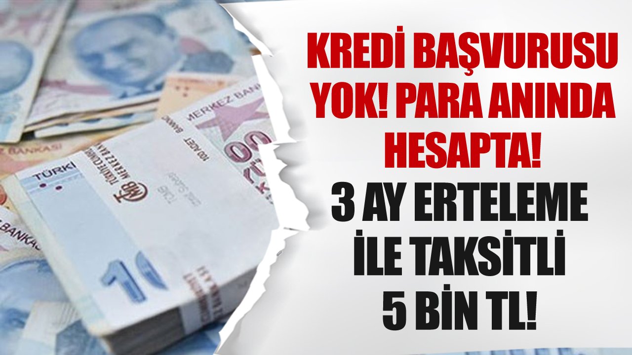 Denizbank 3 Ay Ertelemeli Taksitli Nakit İle Kredi Başvurusu Olmadan Anında 5 Bin TL Veriyor!