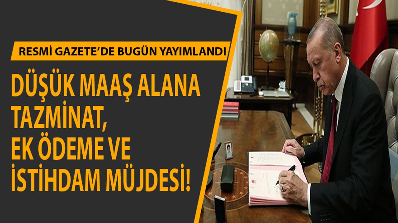 Resmi Gazete İle Yayımlandı! Düşük Maaş Alana Tazminat, Ek Ödeme ve İstihdam Müjdesi Geldi