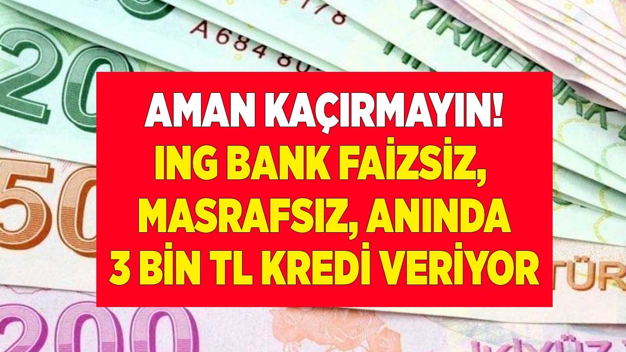 İhtiyacı Olan Aman Kaçırmasın! ING Bank Faizsiz, Masrafsız Anında 12 Ay Vadeli 3 Bin Lira Kredi Veriyor