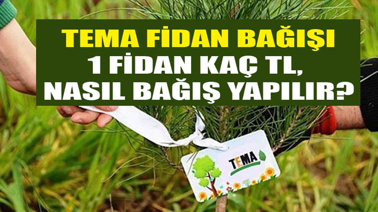 TEMA Fidan Bağışı Nasıl Yapılır, Orman Yangını TEMA Vakfı Bağış Ücreti İle Bir Fidan Kaç TL?