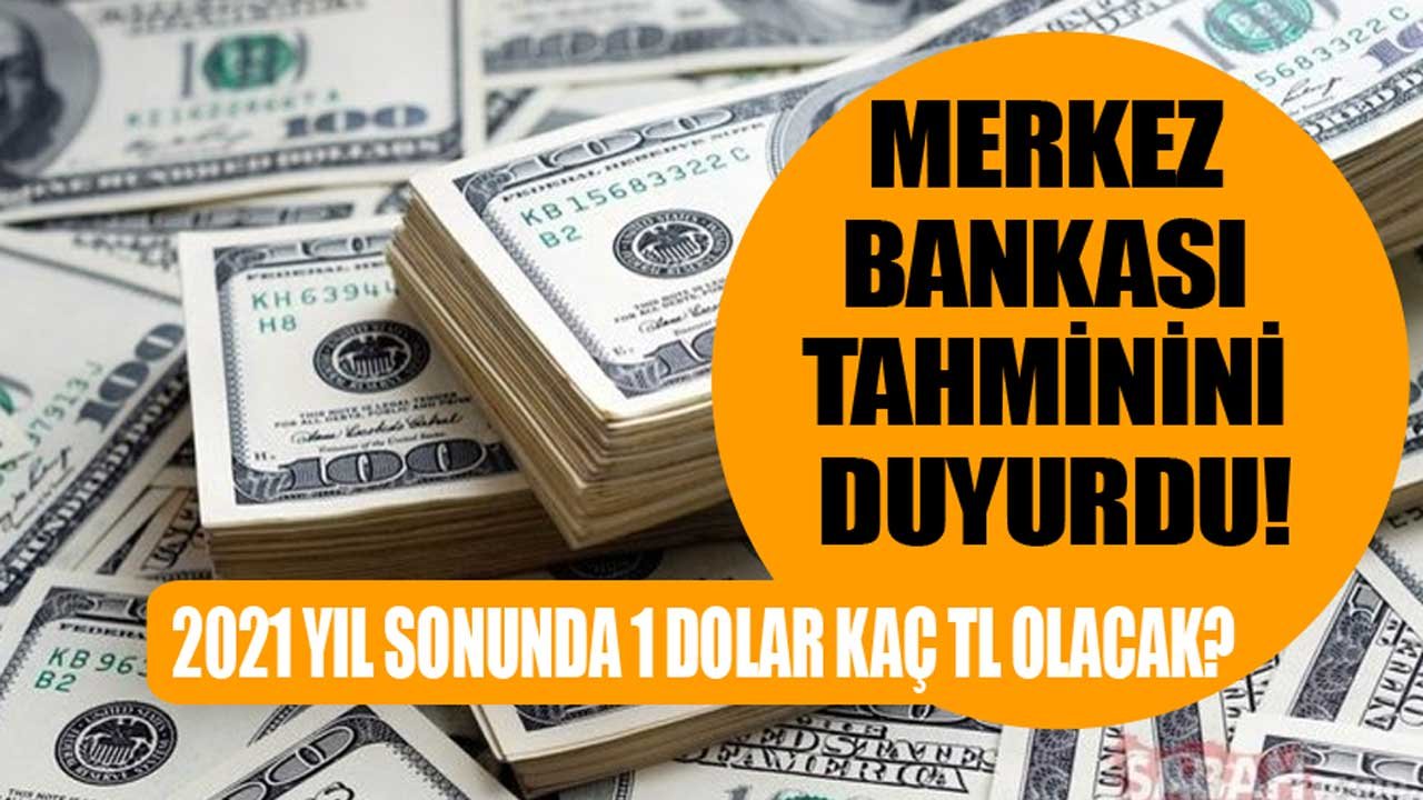 Merkez Bankası Açıkladı: 2021 Yıl Sonu Dolar Tahmini