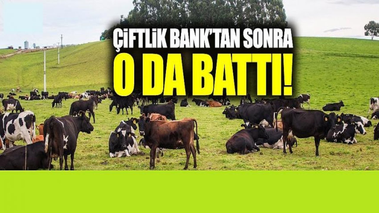 Sütbank Da Battı