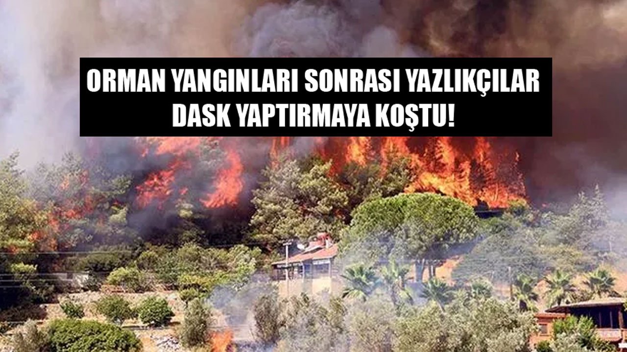 Orman Yangınları Sonrası Yazlıkçılar DASK Sigortası Yaptırmaya Koştu!