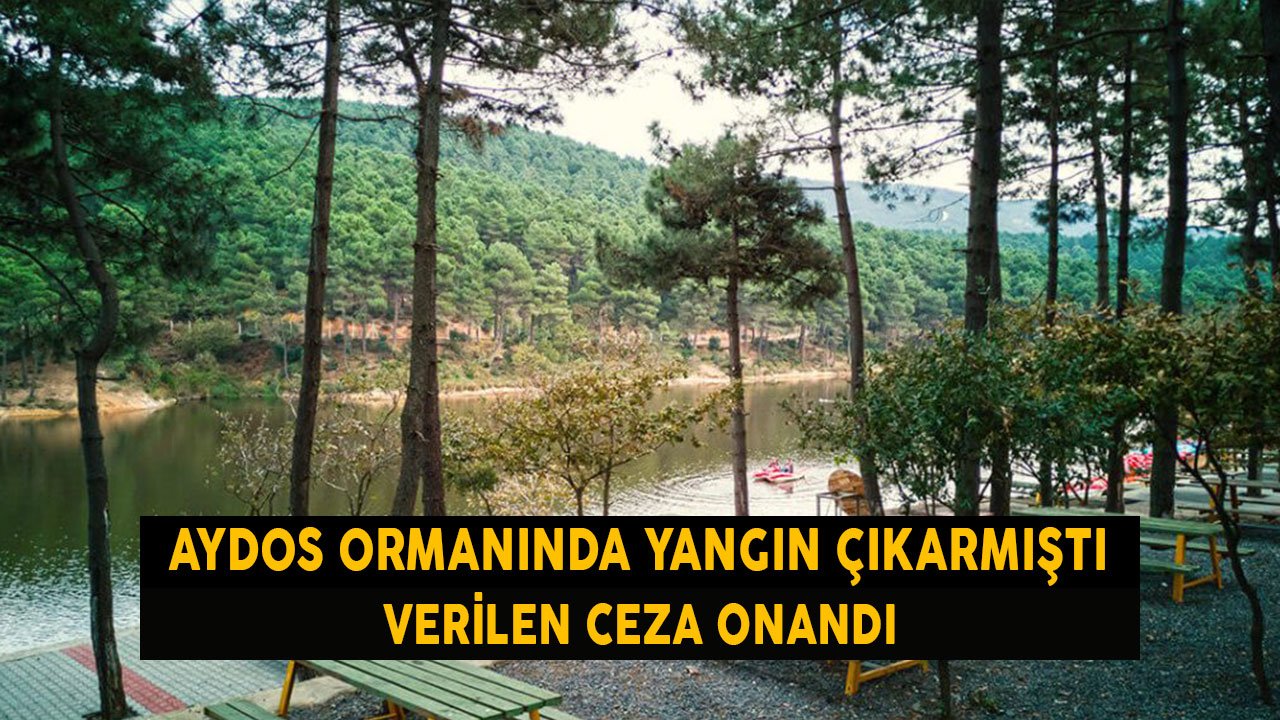 Aydos Ormanını Yakmıştı! Verilen Hapis Cezası Yüreklere Su Serpti