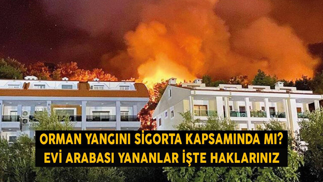 Sigorta Orman Yangınını Kapsar Mı? Evi Arabası Yananlar İşte Mali Haklarınız