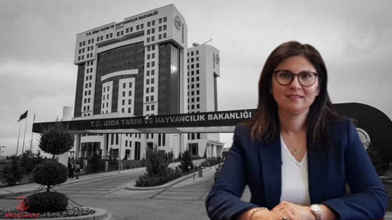 Çevre Bakanı Murat Kurum'un Kız Kardeşi Tarım Bakanlığı'nda Daire Başkanı Olarak Atandı! Dilek Demirci Kimdir?