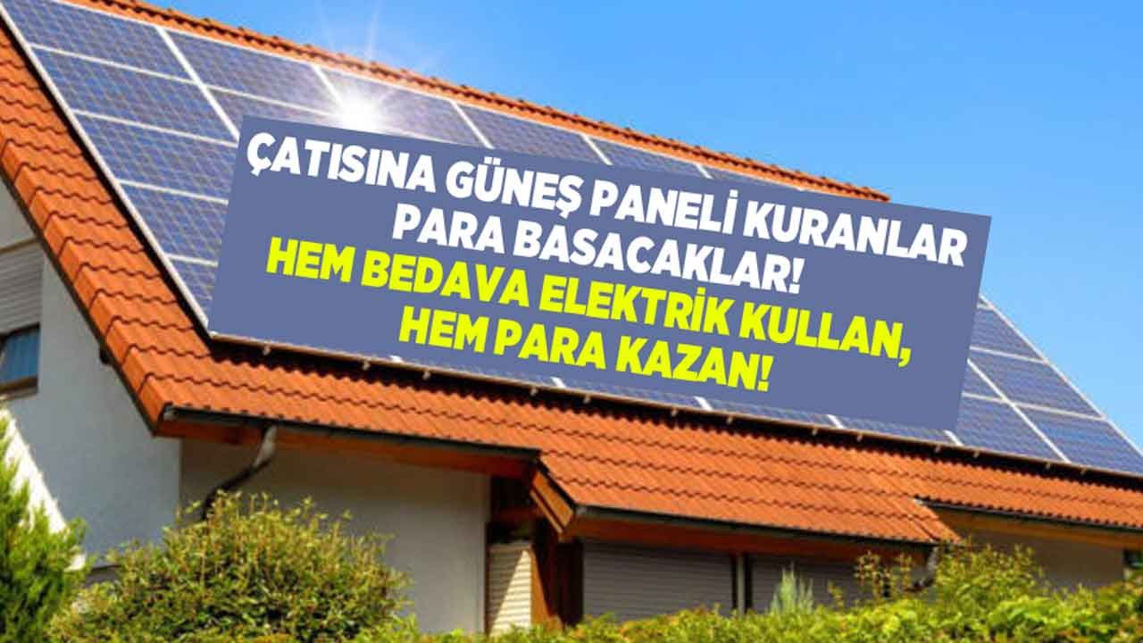 Çatısına Güneş Paneli Kuranlar, Hem Bedava Elektrik Kullanıyor Hem De Para Kazanıyor