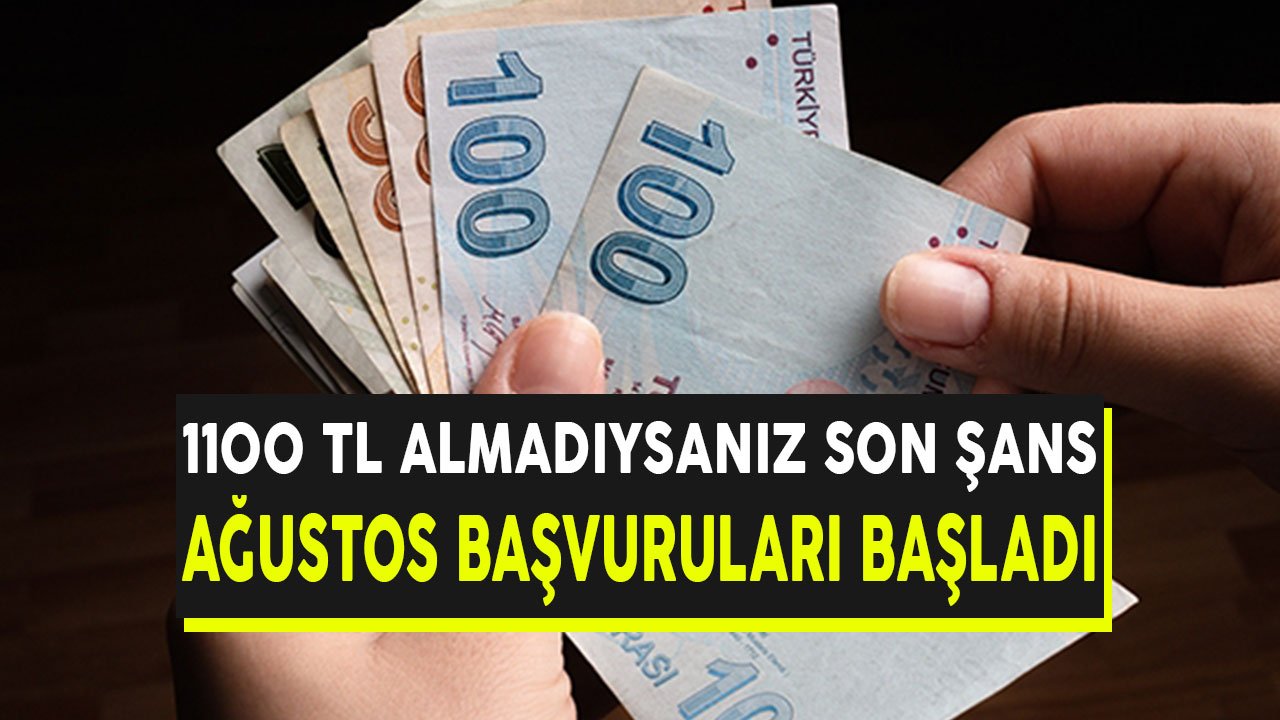 1100 TL Pandemi Desteği Almadıysanız Son Şans! Ağustos Ayı e-Devlet Başvuruları Başladı