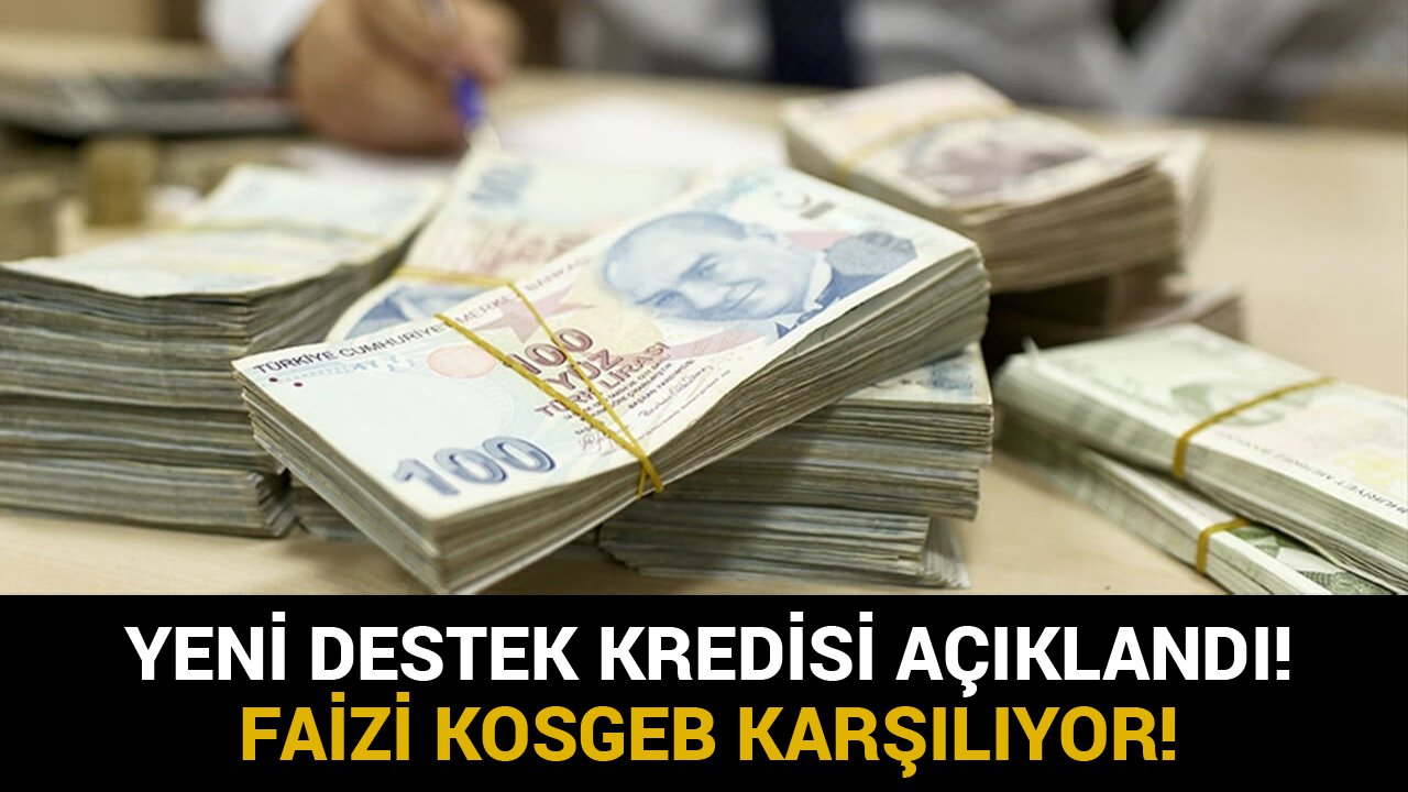100 Bin TL ve 250 Bin TL Acil Destek Kredisi! 12 Ay Ödeme Yapılmıyor, Kredi Faizini KOSGEB Karşılıyor!