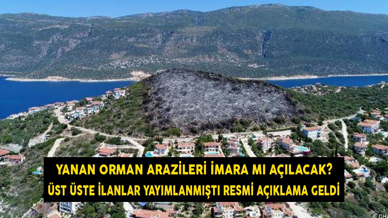 Yanan Orman Arazileri İmara Mı Açılacak? Üst Üste Satış İlanları Yayımlanmıştı Resmi Açıklama Geldi