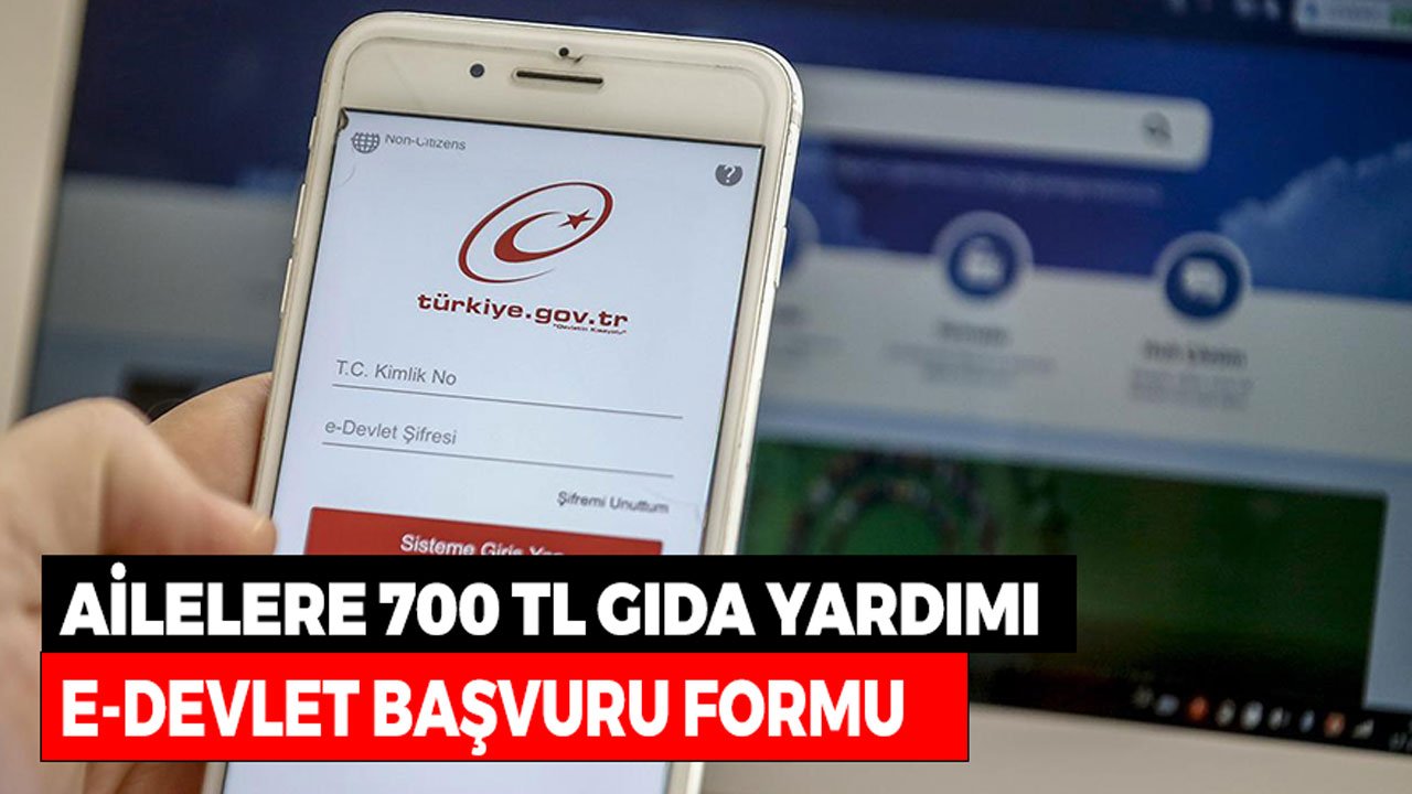 Ailelere 700 TL Gıda Yardımı Var Mı? e-Devlet Başvuru Form Ekranı