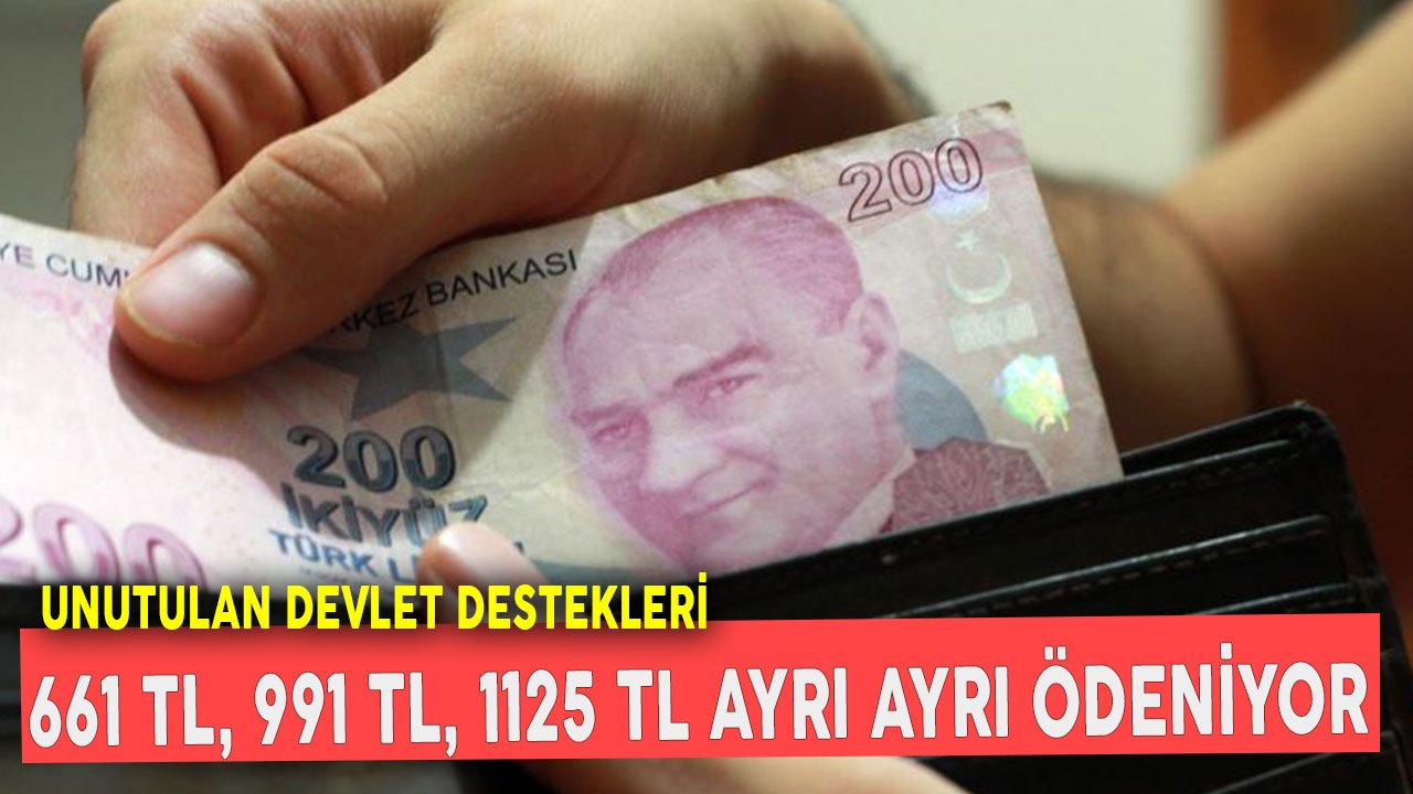 Unutulan Devlet Destekleri! 661 TL, 991 TL ve 1125 TL Hepsi Ayrı Ayrı Ödeniyor