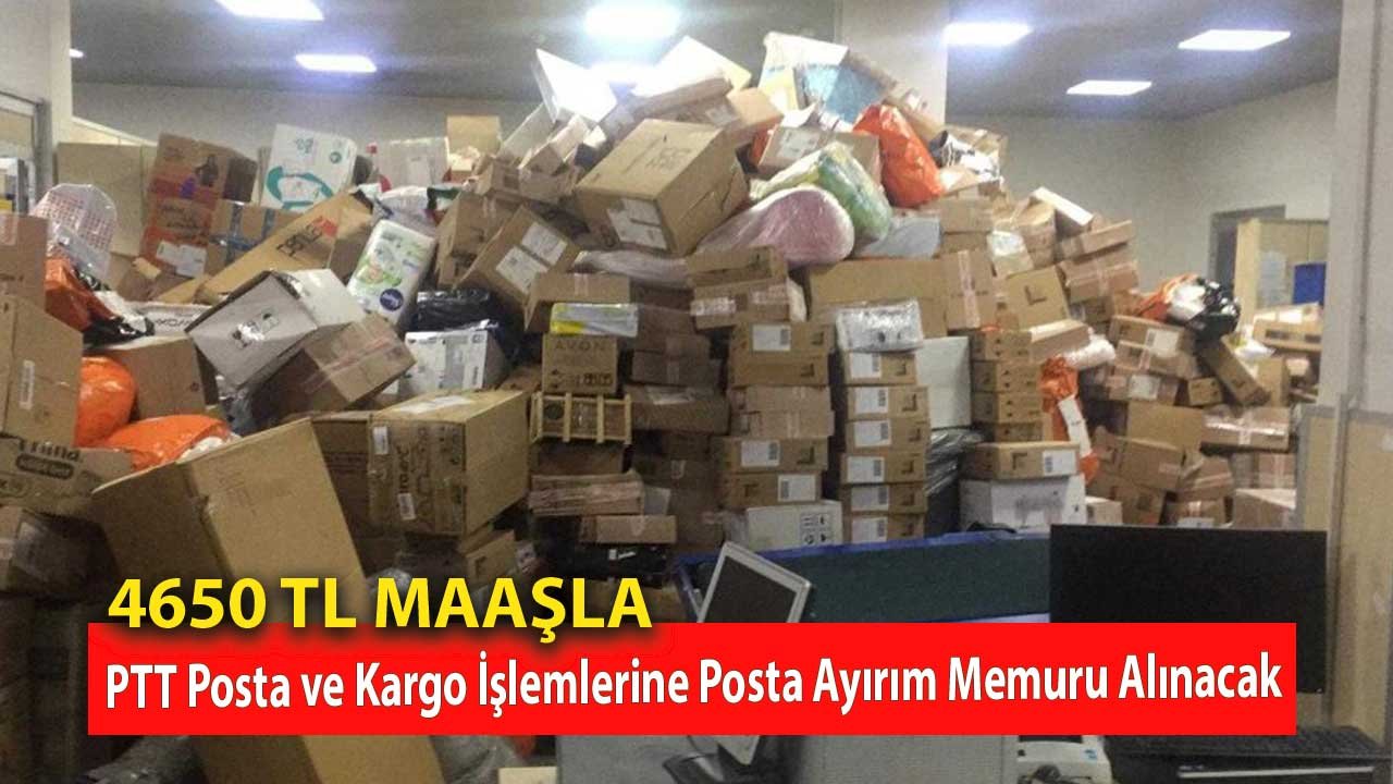 4650 TL Maaşla PTT Posta ve Kargo İşlemlerine Posta Ayırım Memuru Alınacak