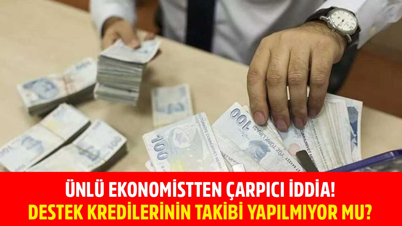 Ekonomist Atilla Yeşilada'dan Çarpıcı İddia! Temel İhtiyaç Desteği Kredisi Ödemelerinin Takibi Yapılmıyor Mu?