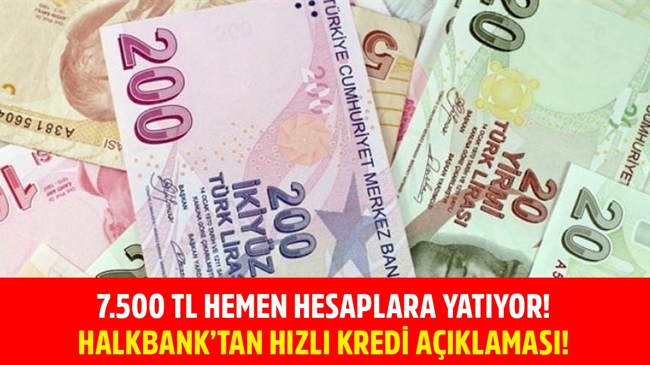 7.500 TL Hemen Hesaplara Yatıyor! Halkbank Hızlı Kredi Kampanyası Açıklandı!