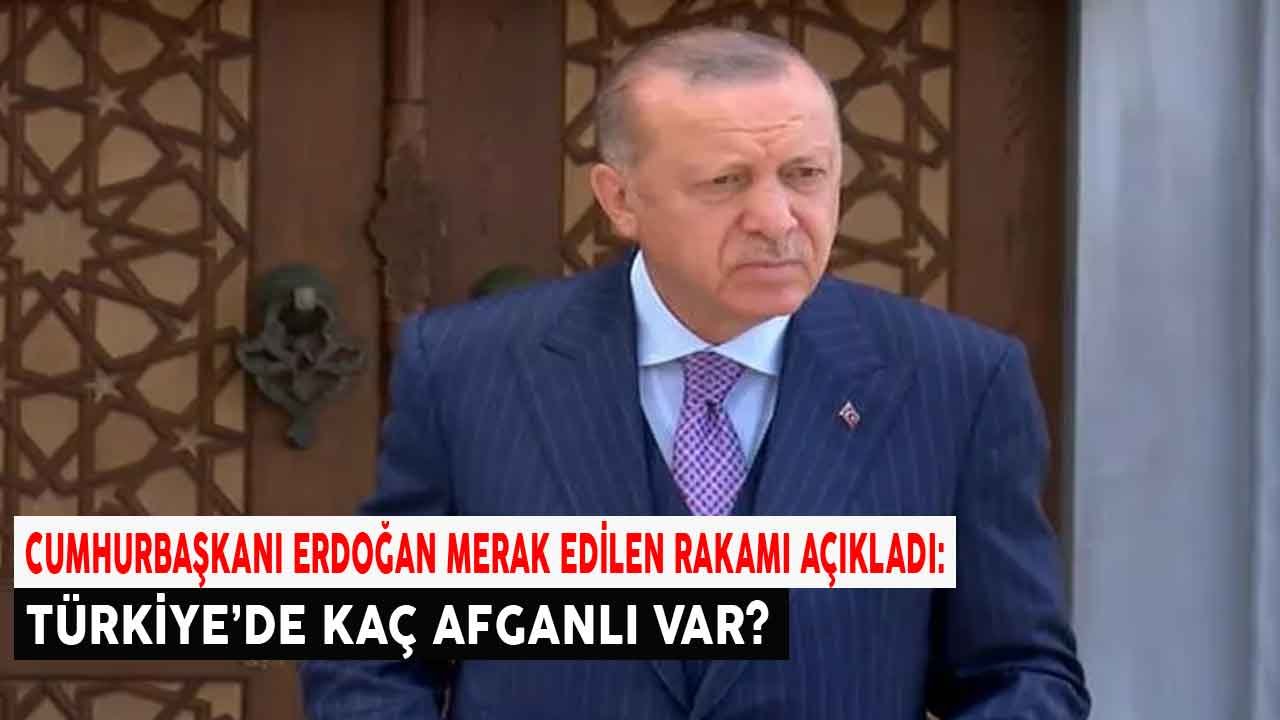 Cumhurbaşkanı Erdoğan Resmi Rakamı Açıkladı: Türkiye'de Kaç Afgan Mülteci Göçmen Var?