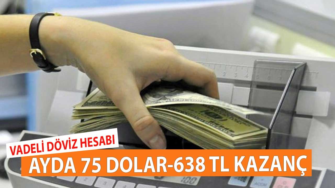 32 Günlük Vadeli Dolar Hesabı! Ayda 75 Dolar 638 TL Kazanç Elde Edin