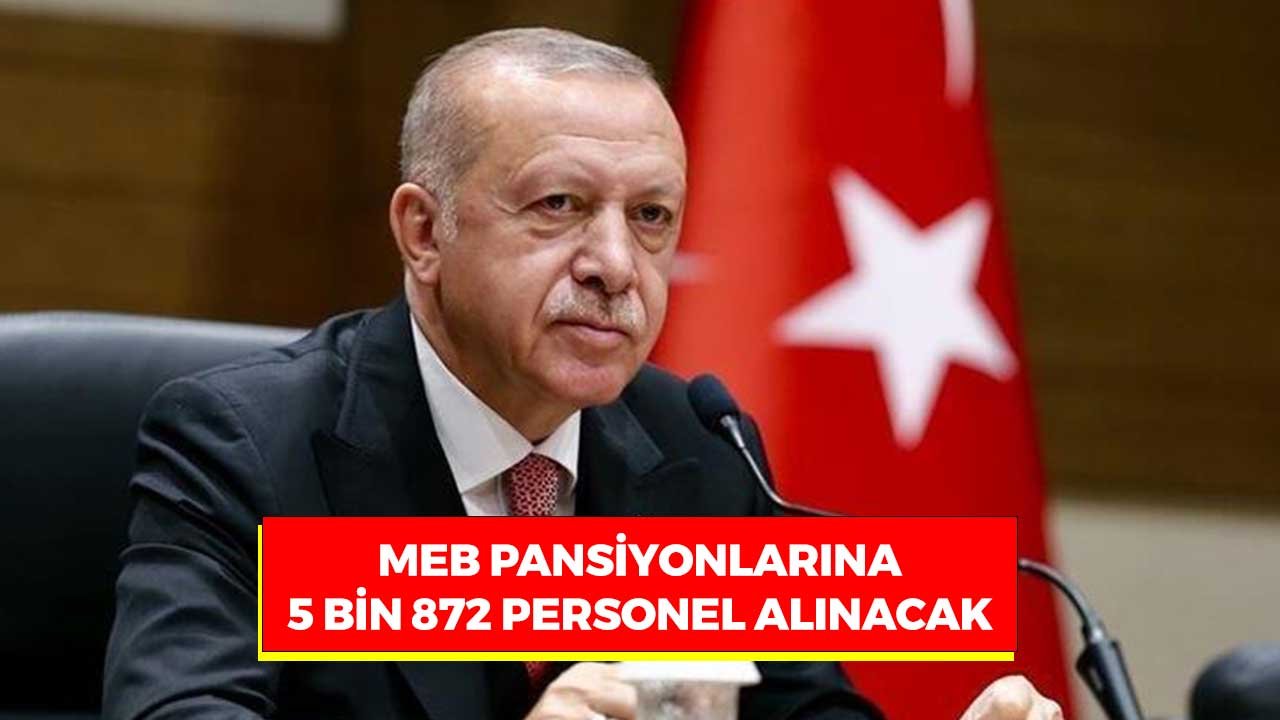 Bu Mesleklerde Olanlara MEB'de İş Fırsatı! Cumhurbaşkanı Erdoğan Kadroları Açıkladı