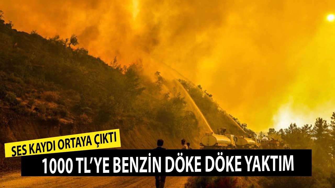 Manavgat Orman Yangınında Ses Kaydı! 1000 TL'ye Benzin Döke Döke Yaktım