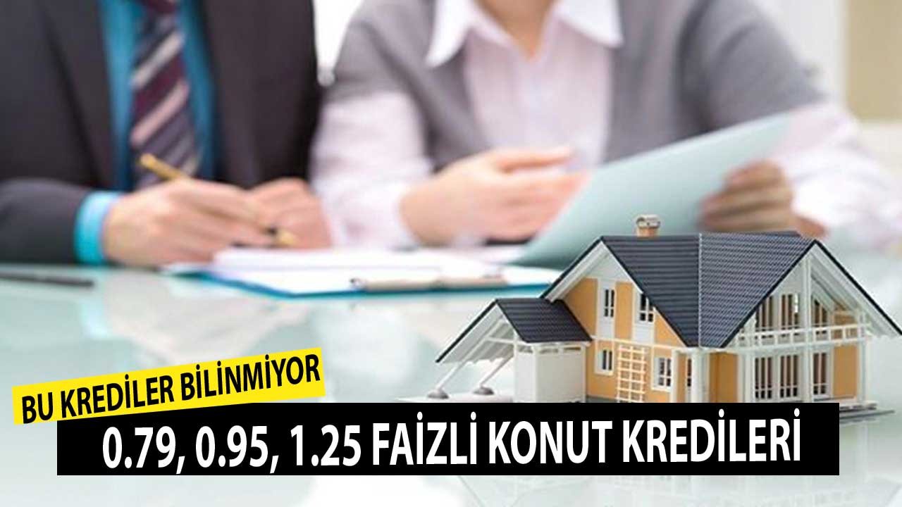 Bilinmeyen Konut Kredi Kampanyaları! 0.79, 0.95, 1.25 Faizle 60, 120 Ay Vadeli Paketler