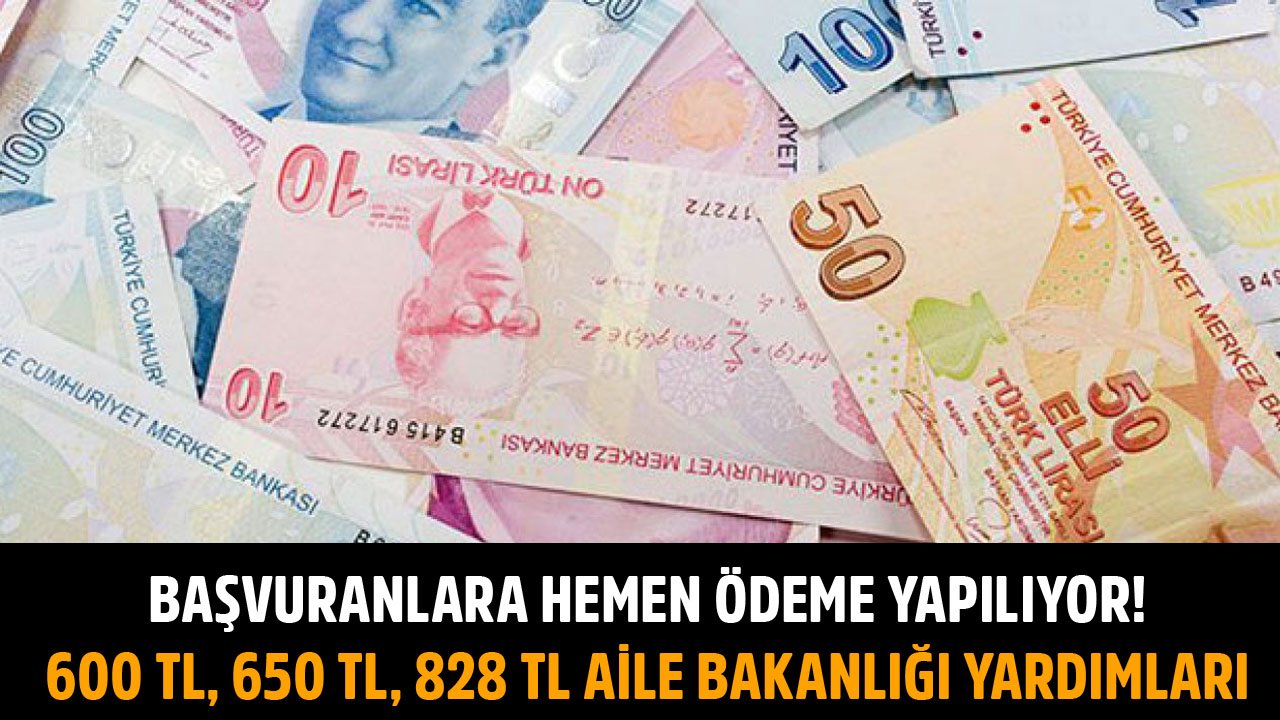 Başvuranlara Hemen Ödeme Yapılıyor! 600 TL, 650 TL, 828 TL Aile Bakanlığı Sosyal Yardımları!