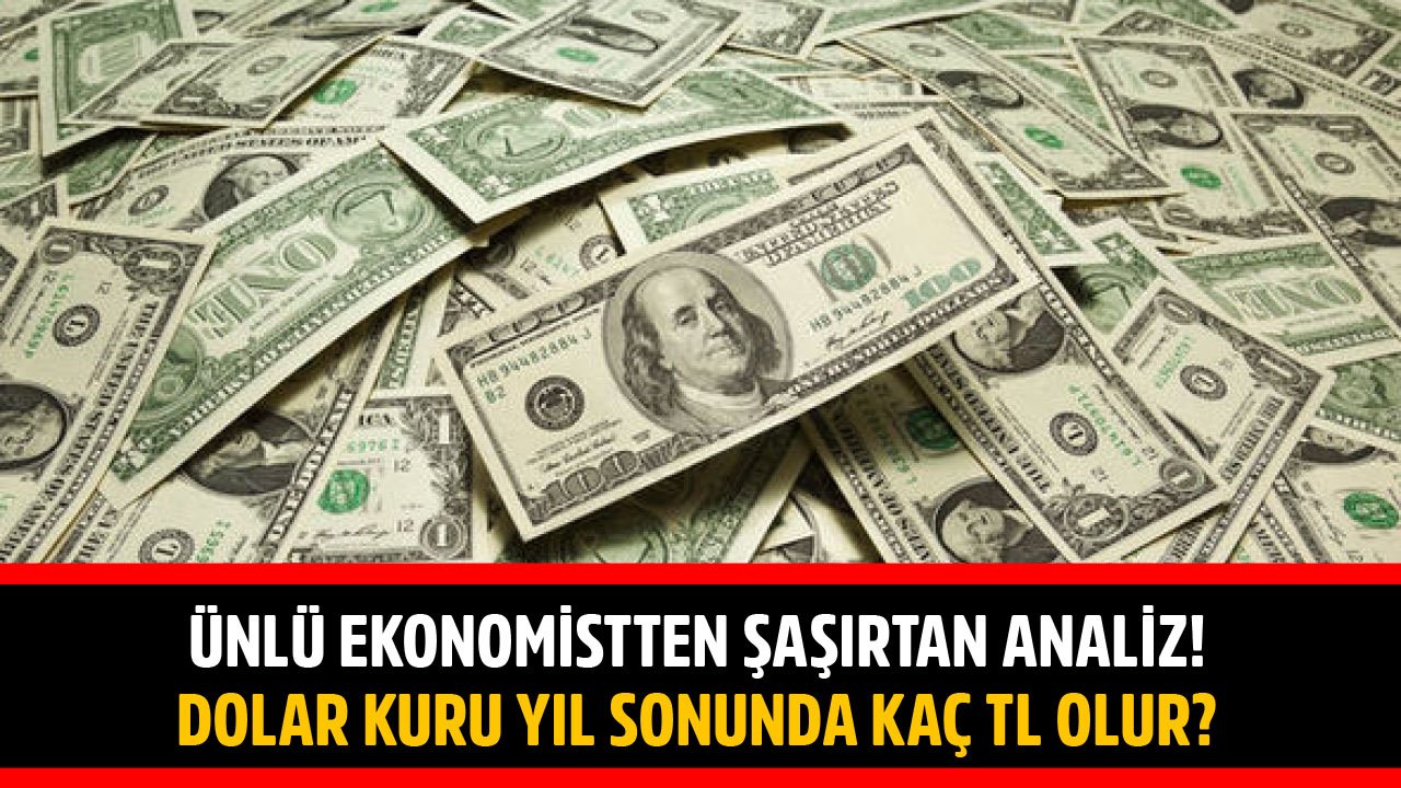 Ünlü Ekonomistten Şaşırtan Analiz! Dolar Kuru 2021 Yıl Sonunda Kaç TL Olur?