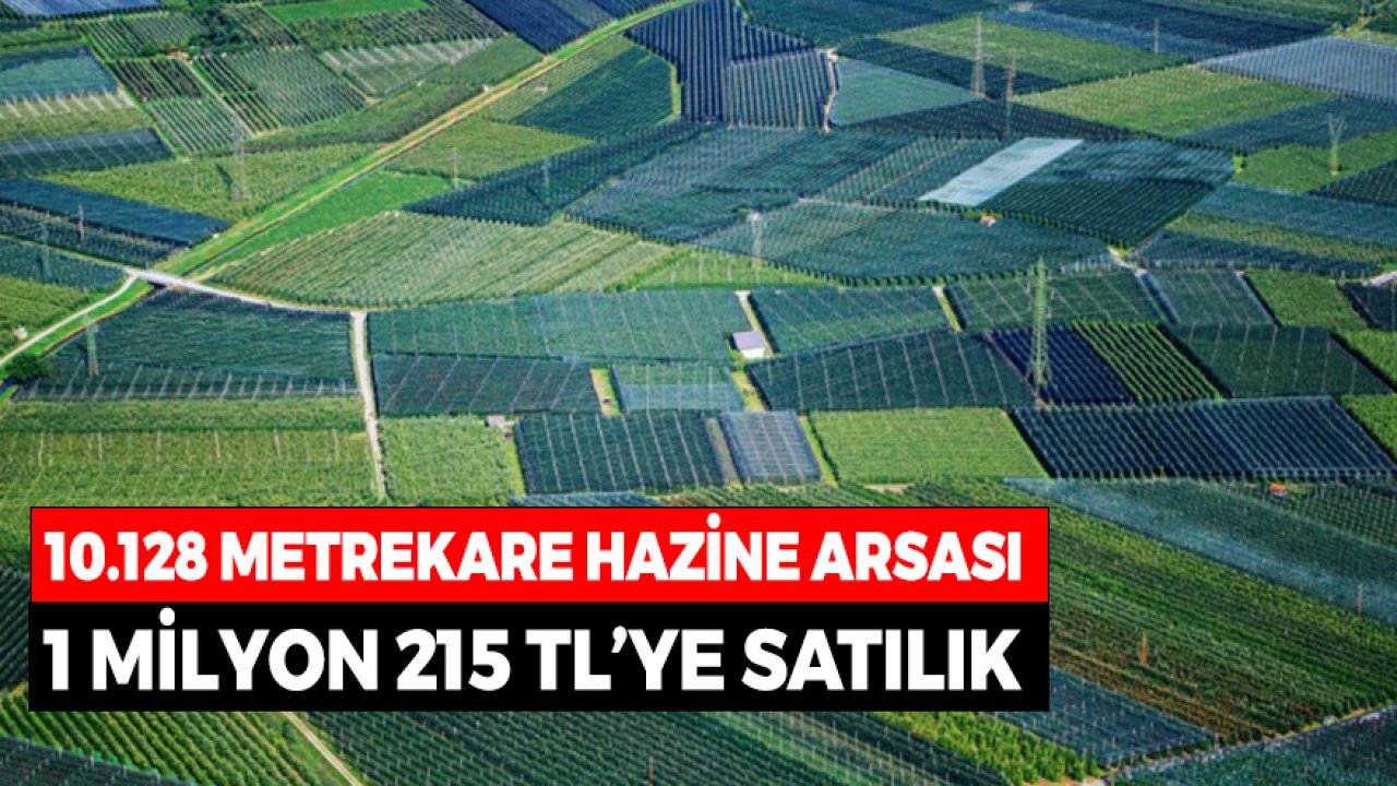 10 Bin 128 Metrekare Arsa 1 Milyon 215 Bin TL’ye Hazineden Satılık