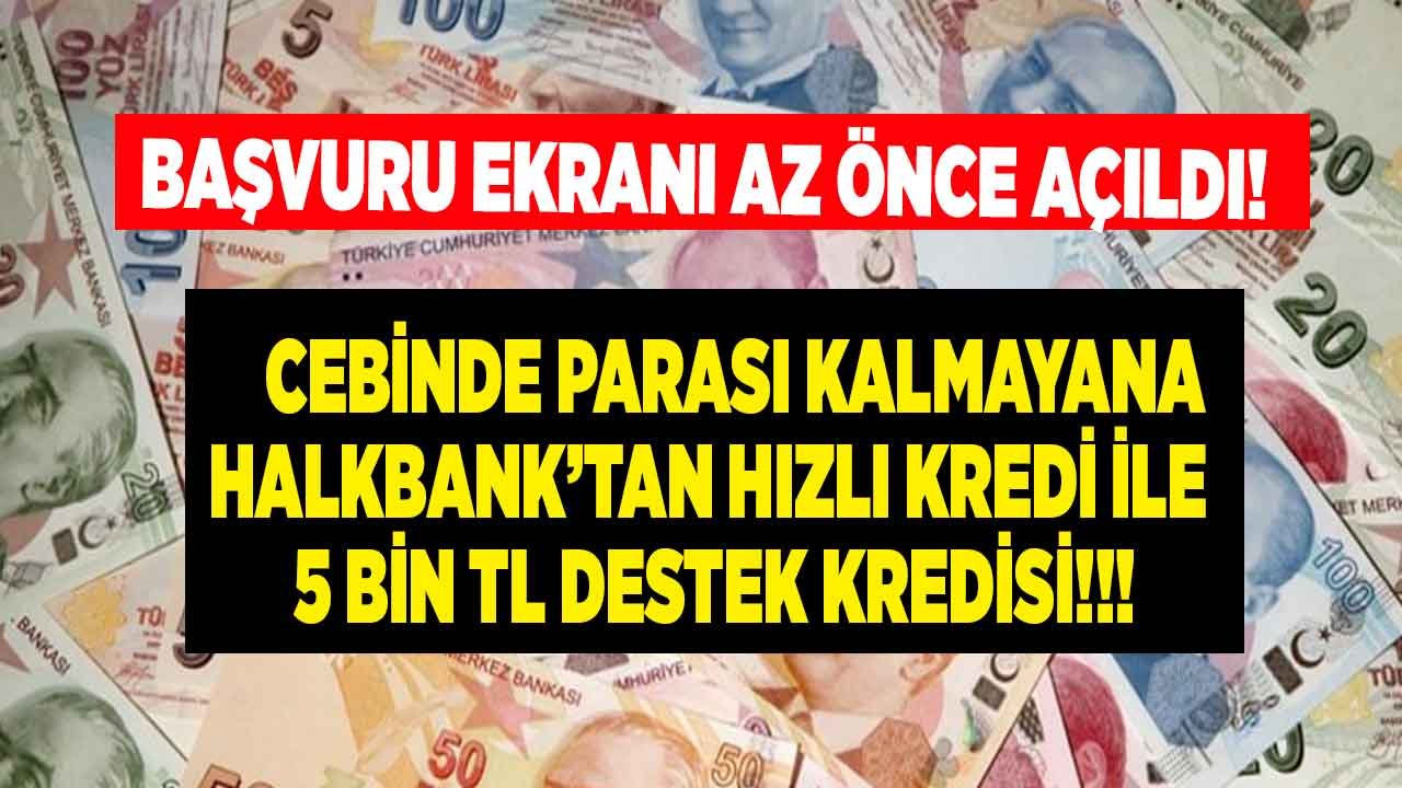 Başvuru Ekranı Az Önce Açıldı! Cebinde Parası Kalmayana 10 Ay Vadeli 5 Bin TL Hızlı Kredi Halkbank'ta