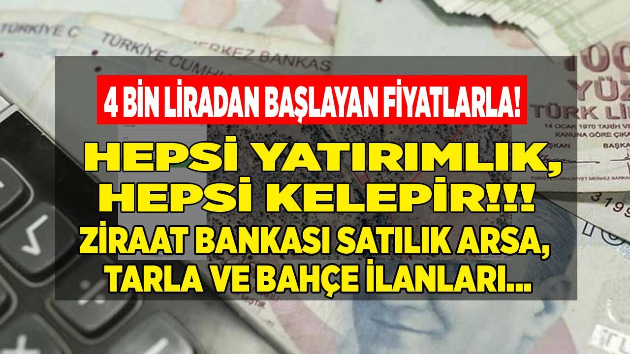 Hepsi Yatırımlık Hepsi Kelepir Fiyatlı! 4 Bin TL'den Başlayan Fiyatlarla Ziraat Bankası Arsa, Tarla ve Bahçe Satıyor