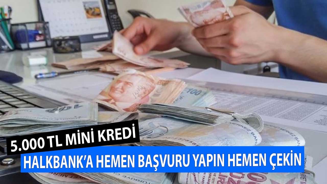5.000 TL Halkbank Mini Kredi! Hemen Başvurun Hemen Çekin