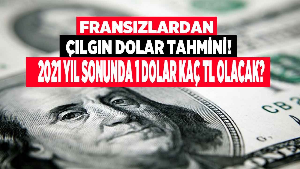 Fransızlardan TL Alarmı! Societe Generale Hazırlıklı Olun Diyerek 2021 Yıl Sonu Dolar Tahminini Açıkladı